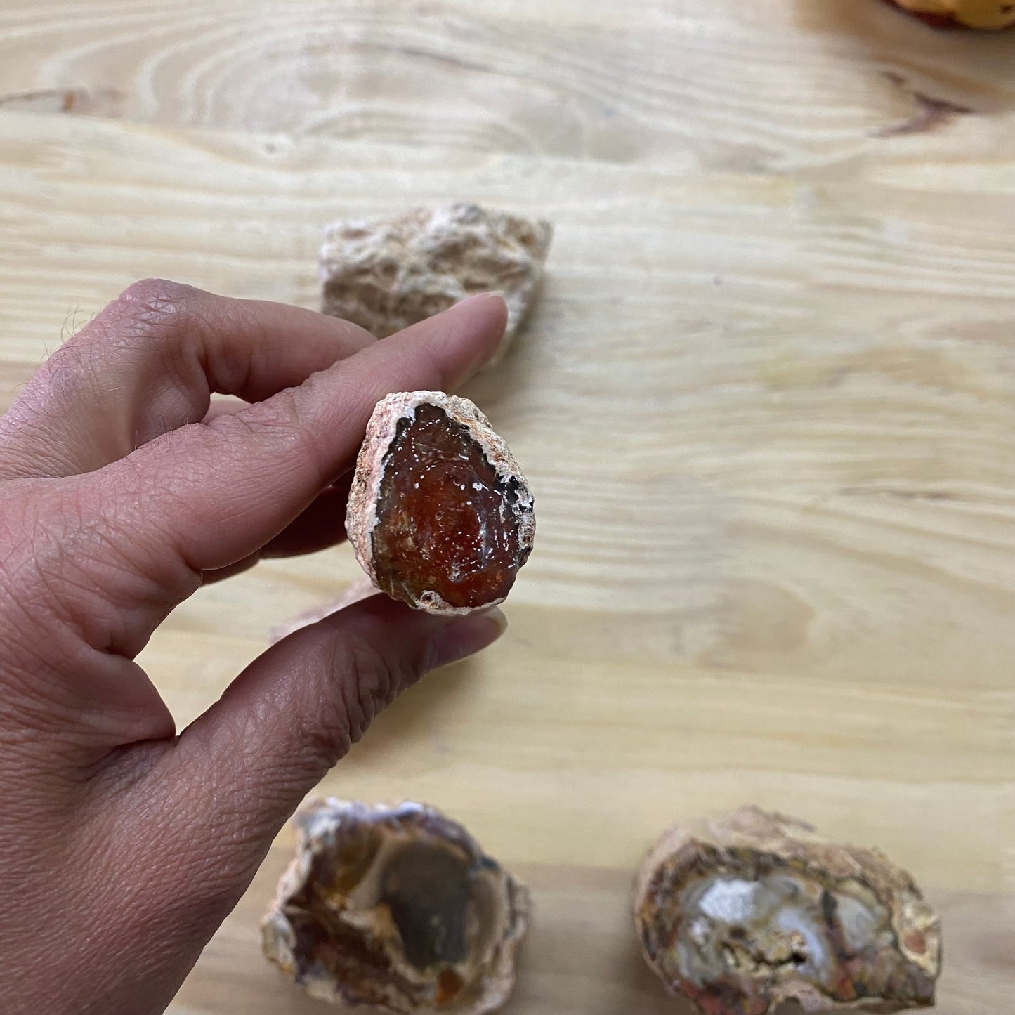 Petrified Wood - Semi Polished Piece