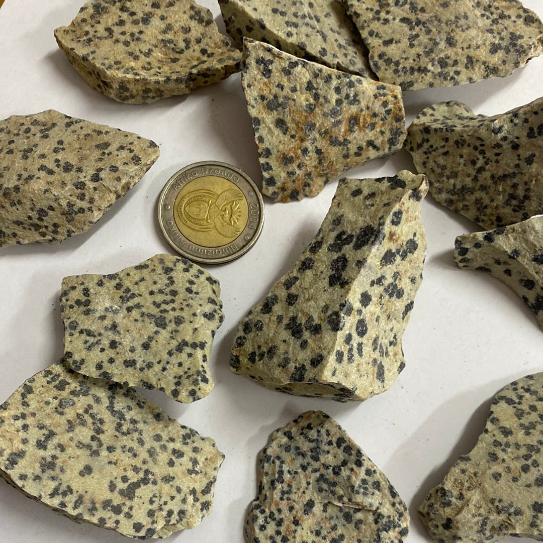 Dalmatian Stone Rough