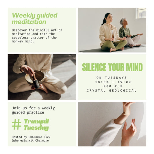 Tranquil Tuesdays - Bi- Weekly Guided Meditation