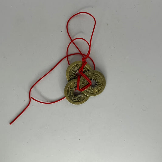 Fengshui Fortune Coin - 3 Coin