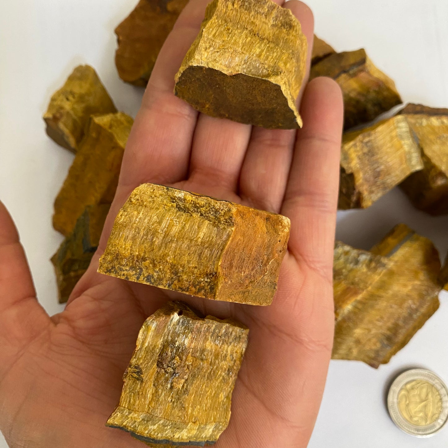 Tiger Eye Rough - Crystal Geological