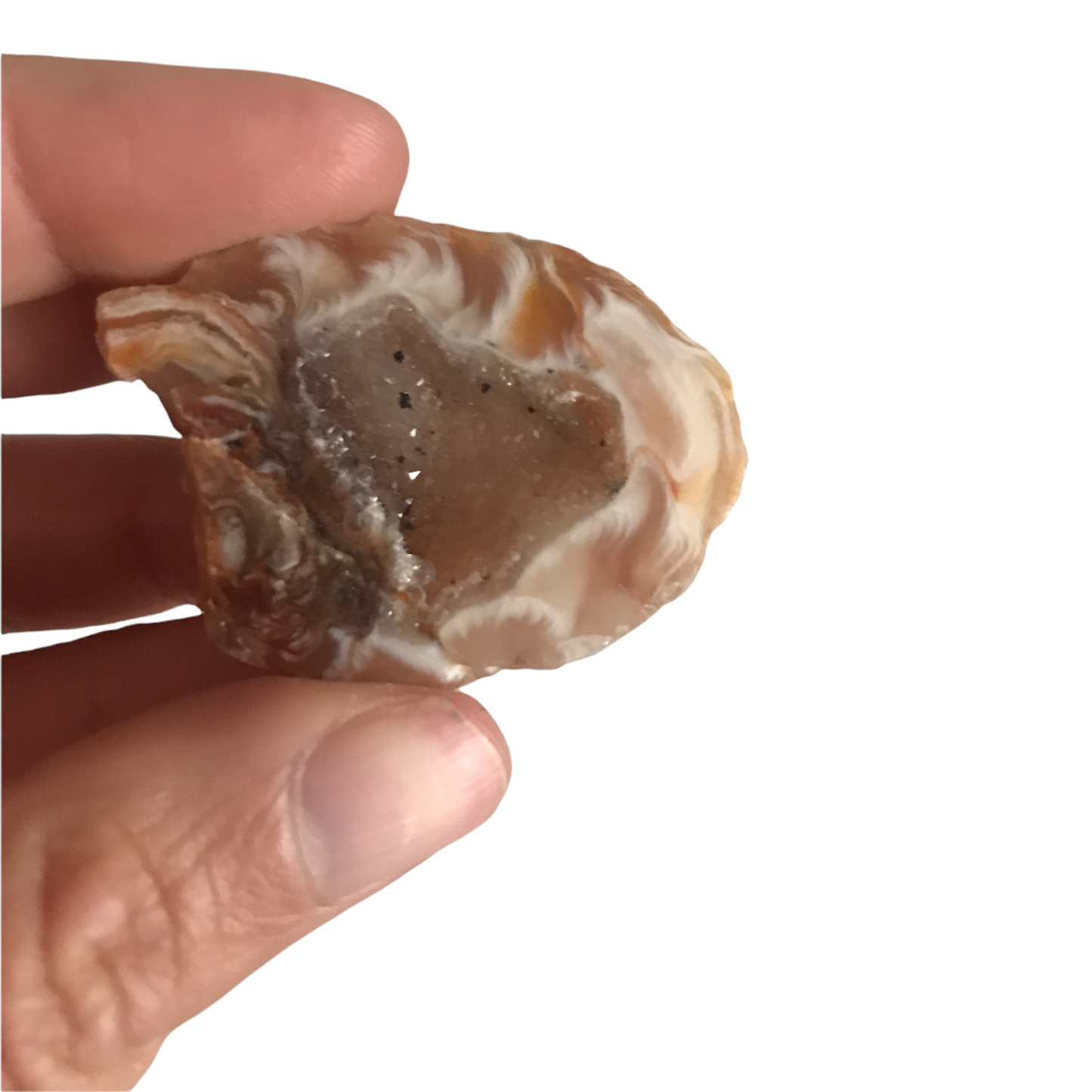 Agate Geode- Small - Crystal Geological