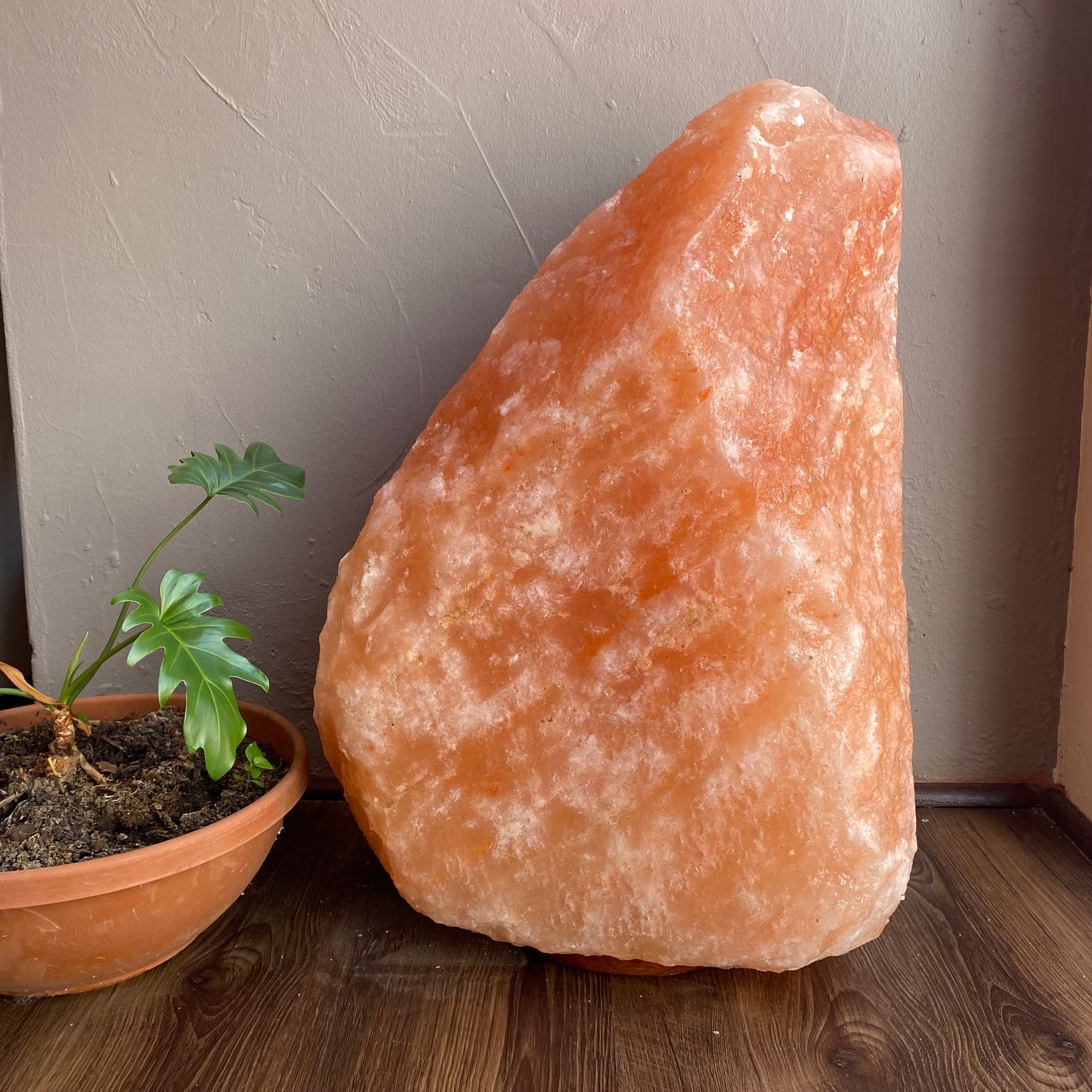 XXL Himalayan Salt Lamp 127kg - Crystal Geological