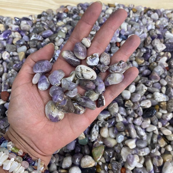 Amethyst Tumble Stone Bag - 2,5kg - Crystal Geological