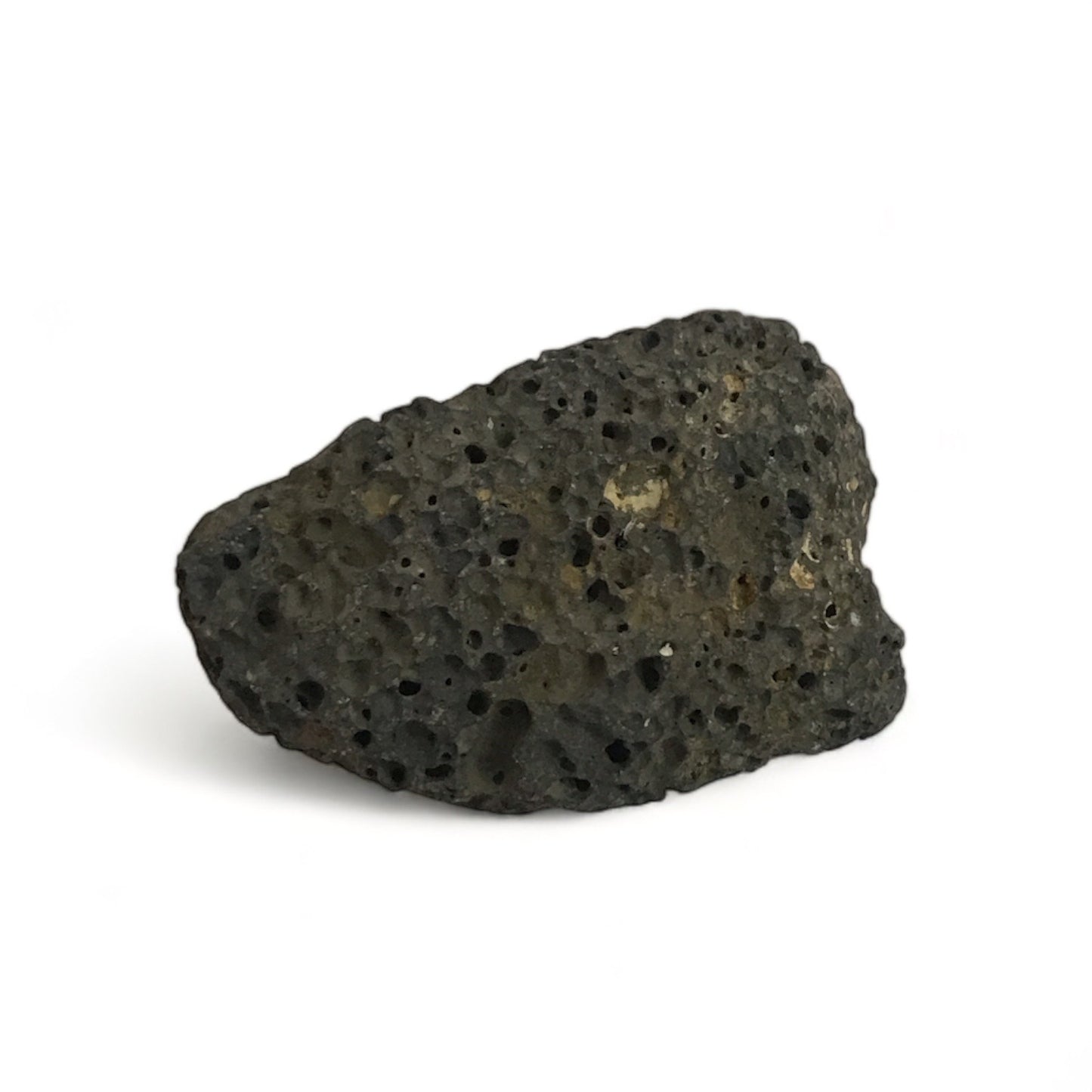 Volcanic Rock Pieces (Rangitoto)