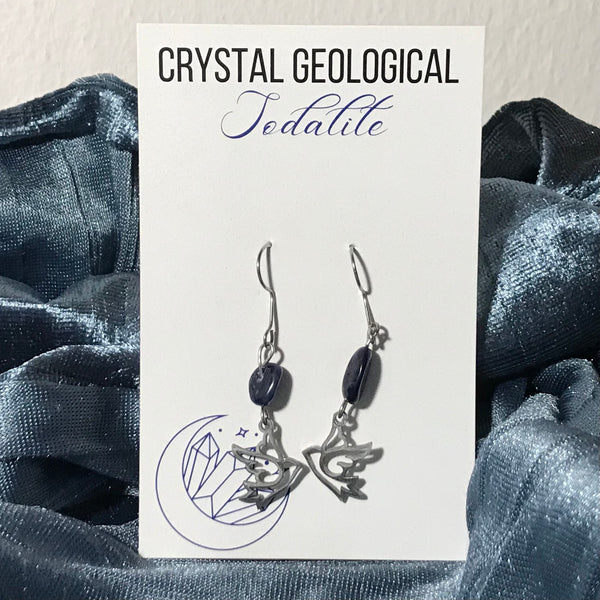 Assorted Sodalite Beaded Earrings - Crystal Geological