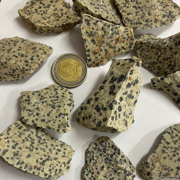Dalmatian Stone Rough - Crystal Geological