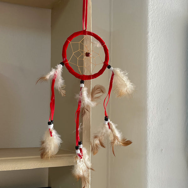 Assorted Small Feather Dreamcatchers