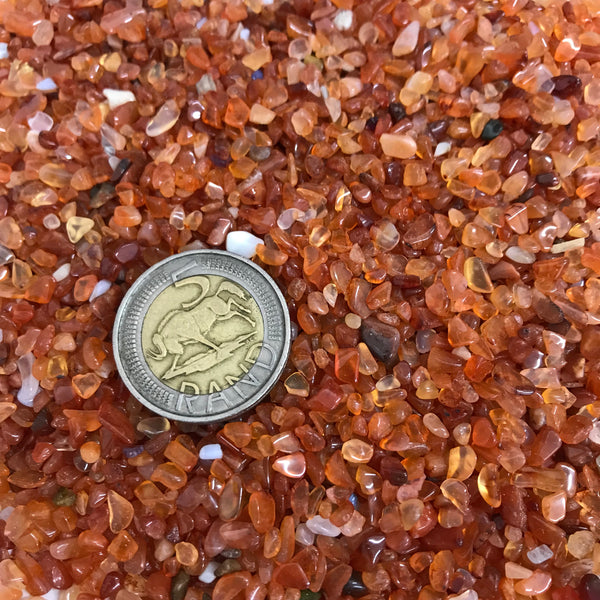 Extra Small Carnelian Tumble Stones - Crystal Geological