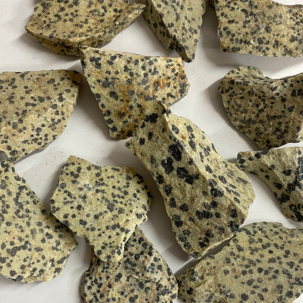 Dalmatian Stone Rough - Crystal Geological