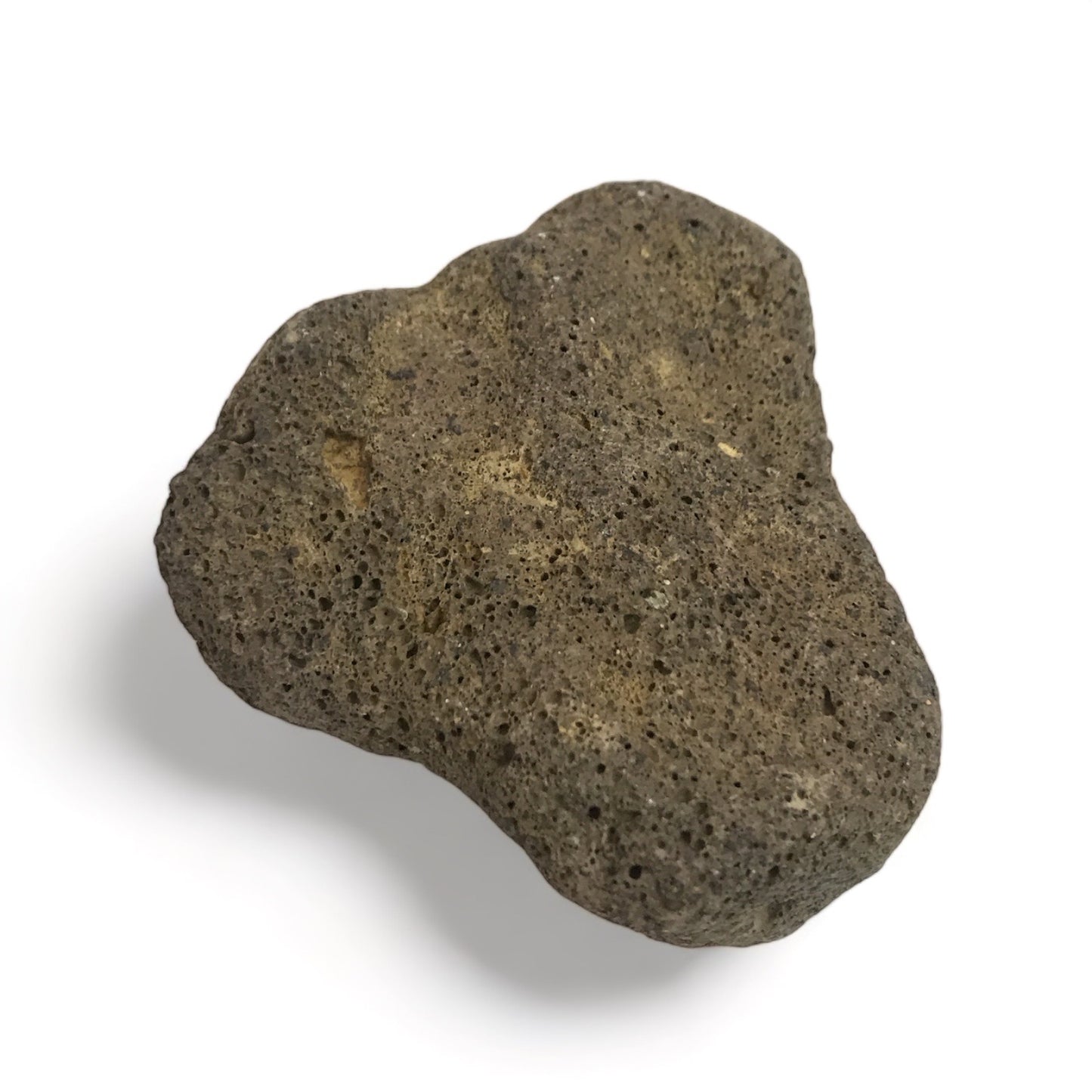 Volcanic Rock Pieces (Rangitoto)