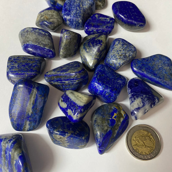 Lapis Lazuli (A) Tumble Stone - Crystal Geological