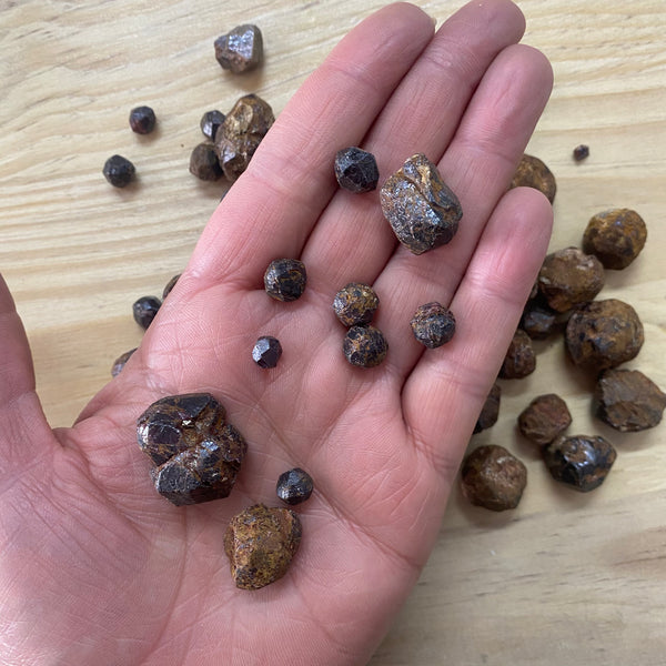 Rough Garnet Piece - Mixed Size - Crystal Geological