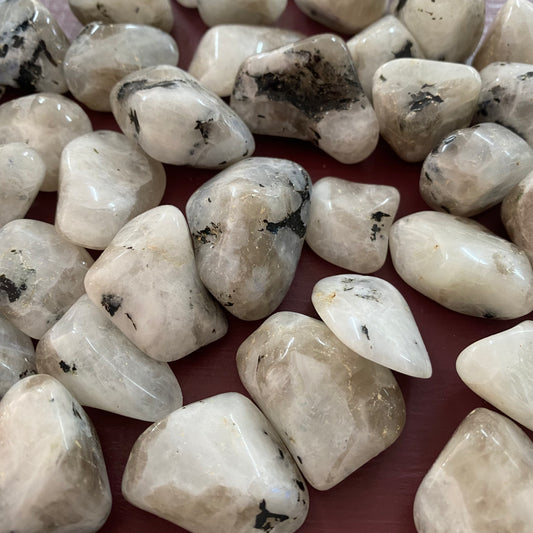 Rainbow Moonstone - Tumble - Crystal Geological