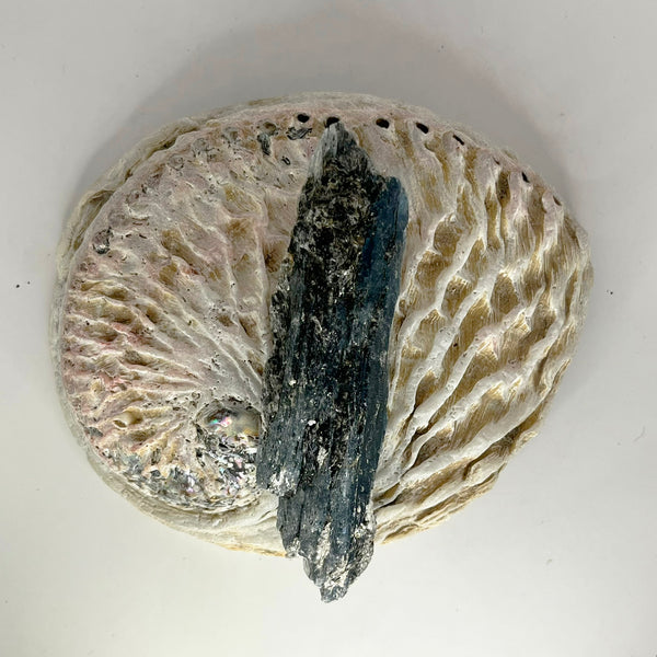 Blue Kyanite Blade - Crystal Geological