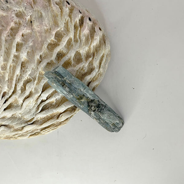 Blue Kyanite Blade - Crystal Geological
