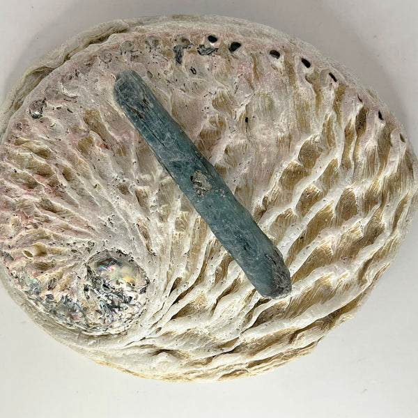 Blue Kyanite Blade - Crystal Geological