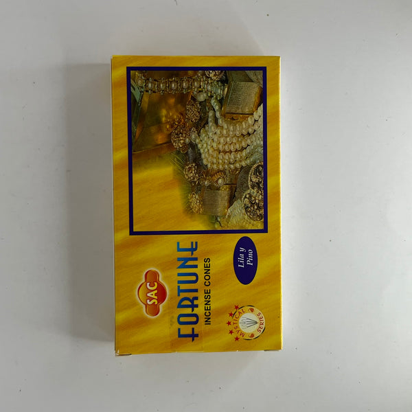 SAC Incense Cones - Assorted - Crystal Geological