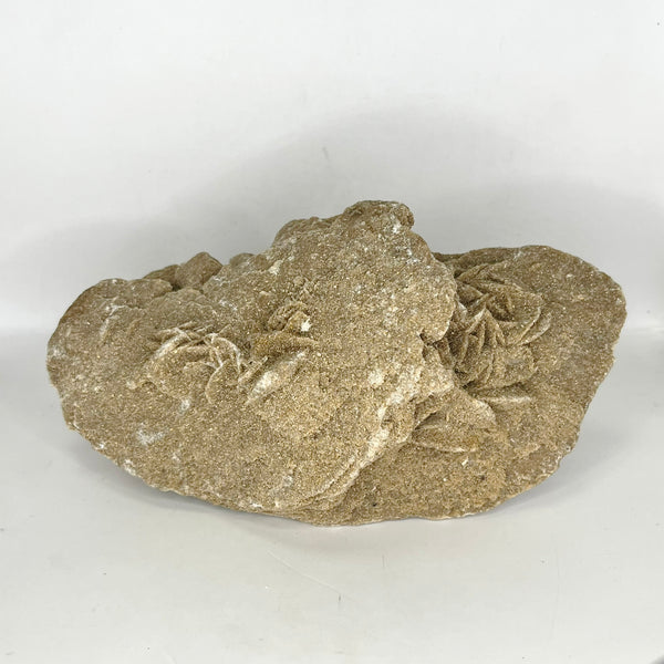 Desert Rose - Crystal Geological