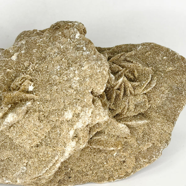 Desert Rose - Crystal Geological