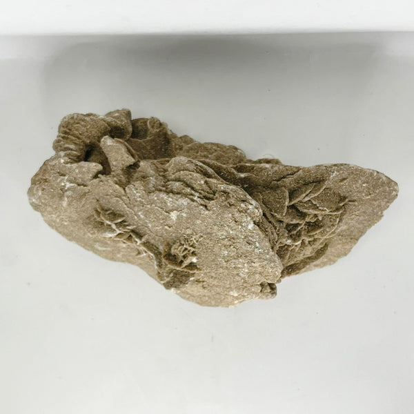 Desert Rose - Crystal Geological