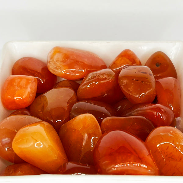 Carnelian Tumble - Crystal Geological