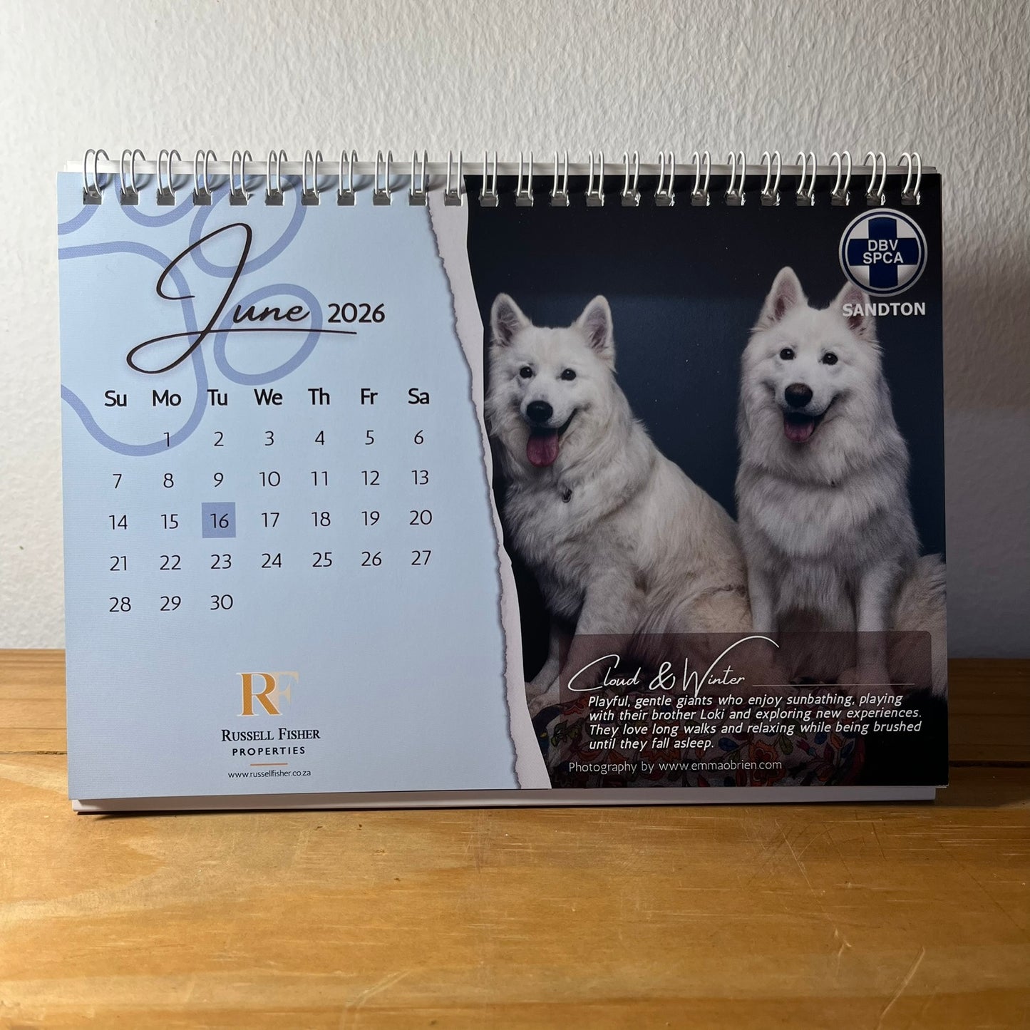 SPCA 2026 Desk Calendar
