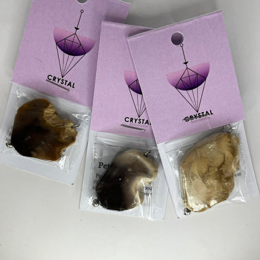 Assorted Petrified Wood Bead