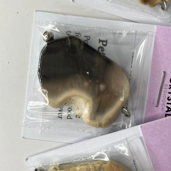 Assorted Petrified Wood Bead