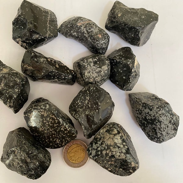 Snowflake Obsidian Rough - Crystal Geological