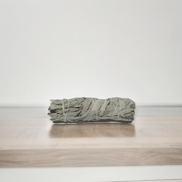 Californian White Sage - 10cm - Crystal Geological