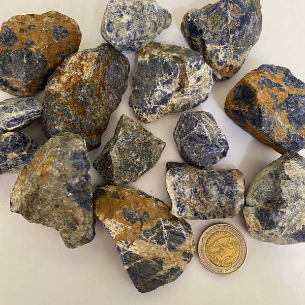 Sodalite Rough - Crystal Geological