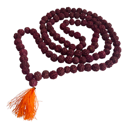 Rudraksha Mala Bead String - Large Rudraksha Beads - Crystal Geological