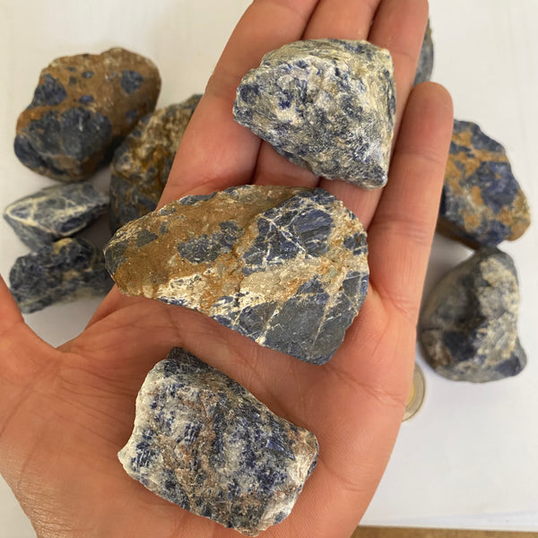 Sodalite Rough - Crystal Geological