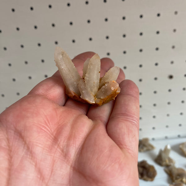 Lucky Pick - Spirit Quartz Pointer or Cluster - Crystal Geological