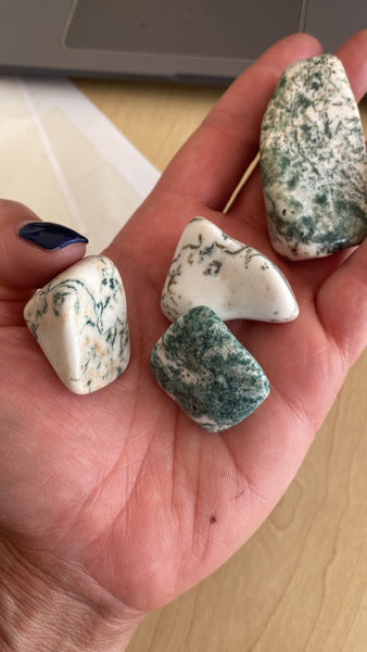 Tree Agate Tumble Stone - Crystal Geological