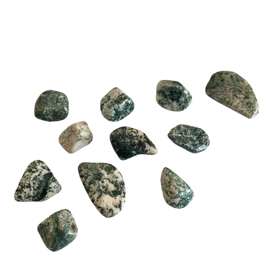 Tree Agate Tumble Stone - Crystal Geological