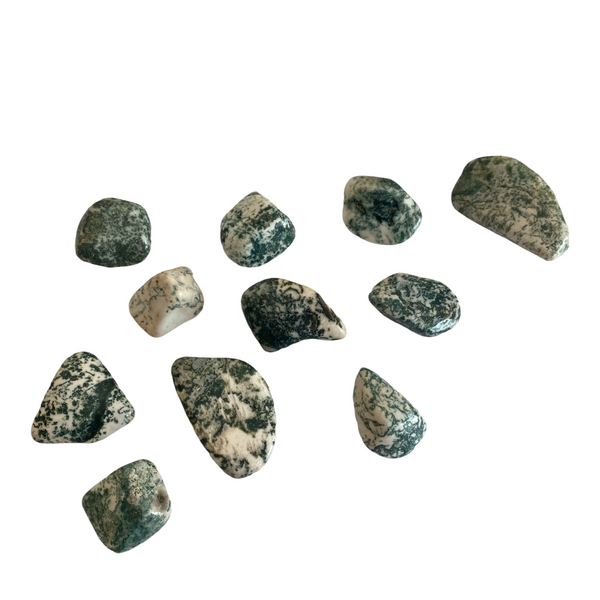 Tree Agate Tumble Stone - Crystal Geological