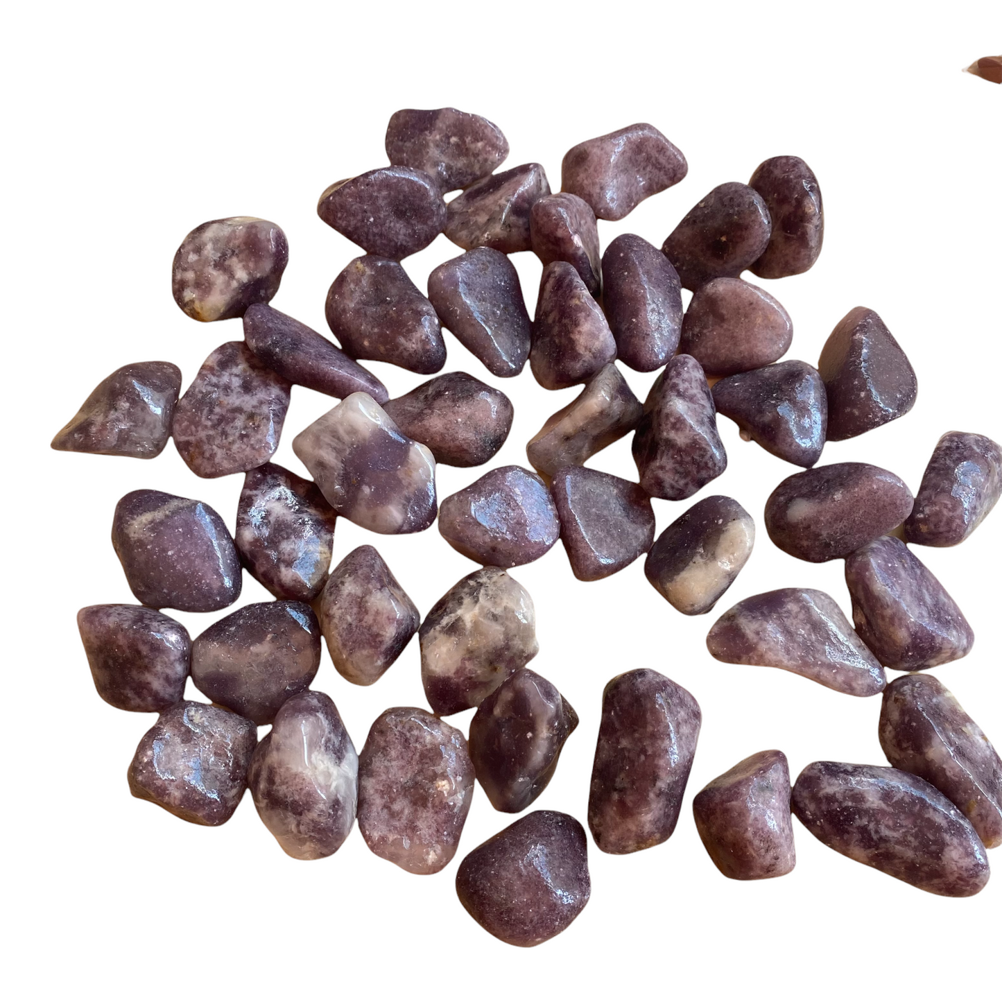 Lepidolite Tumble stone - Crystal Geological