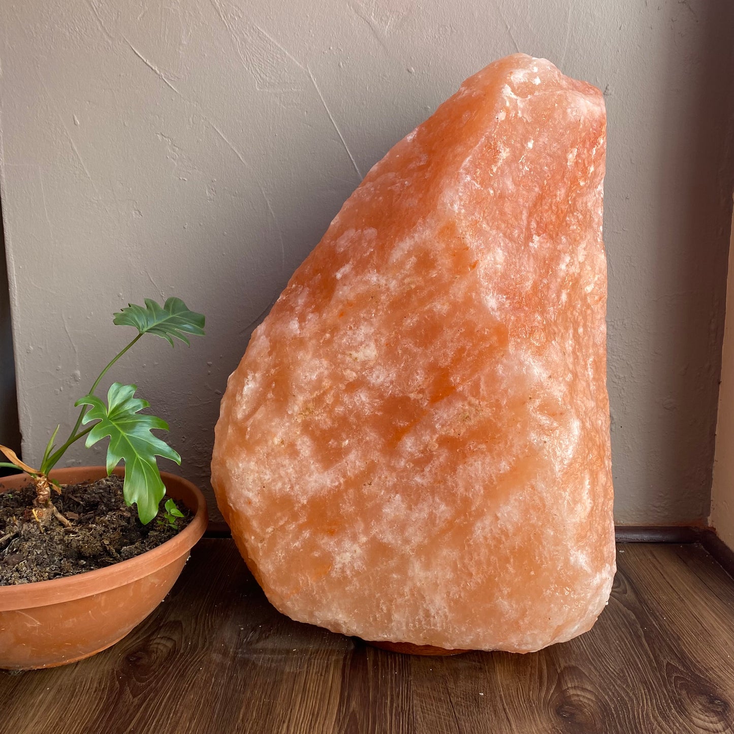 XXL Himalayan Salt Lamp 127kg - Delivery  Free within South Africa